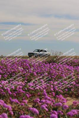 media/Jan-08-2023-SCCA SD (Sun) [[8f6a5b9391]]/Intermediate Group/Session 2 (Short Straight)/